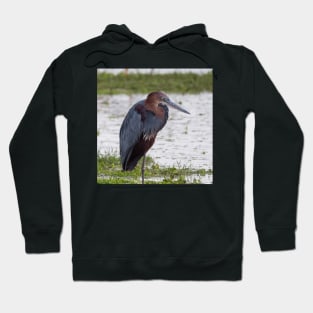 Goliath Heron Hoodie